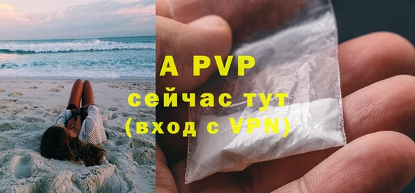винт Абаза