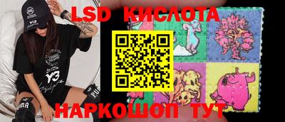 стаф Гай