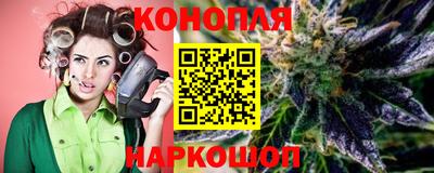стаф Гай