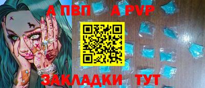 стаф Гай