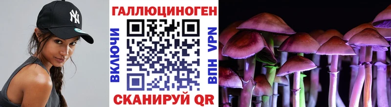 Галлюциногенные грибы Psilocybine cubensis Кизляр