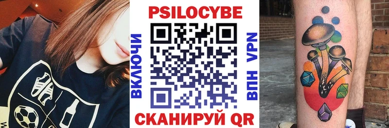 наркошоп  Кизляр  кракен сайт  Псилоцибиновые грибы GOLDEN TEACHER 