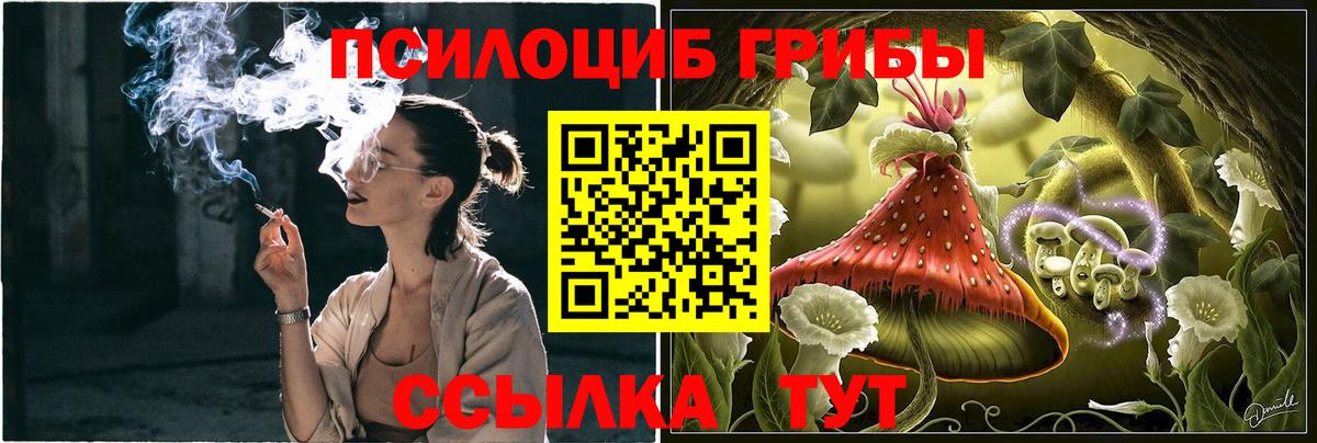 Псилоцибиновые грибы Psilocybe  Вход с VPN  Кизляр 