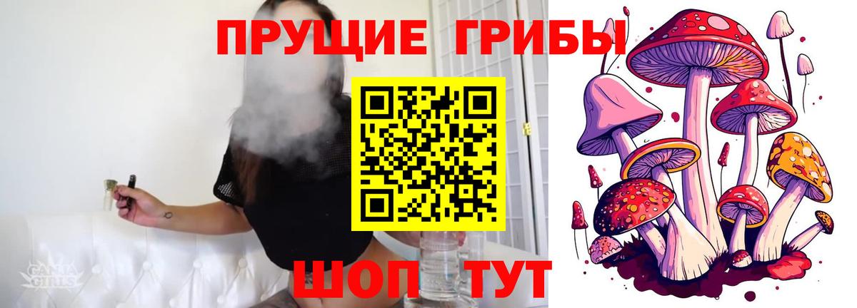 Псилоцибиновые грибы MAGIC MUSHROOMS Кизляр